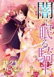 闇に眠る騎士