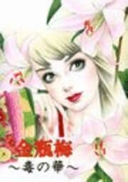 金瓶梅～毒の華～