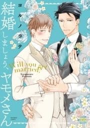 結婚しましょう､ヤモメさん【電子限定特典付き】