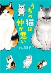 うちの猫は仲が悪い_thumbnail