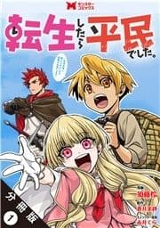 転生したら平民でした｡～生活水準に耐えられないので貴族を目指します～(コミック) 分冊版_thumbnail