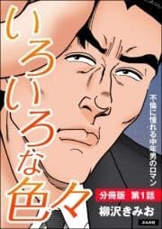 いろいろな色々(分冊版)