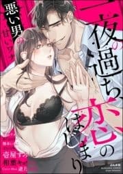 一夜の過ち､恋のはじまり ～悪い男の甘いワナ～