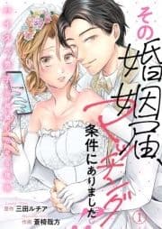 その婚姻届､マッチング条件にありました!?～ハイスペ男子が結婚したがる理由～