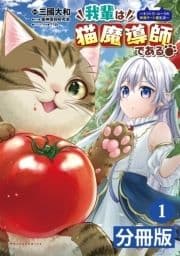 我輩は猫魔導師である～キジトラ･ルークの快適チート猫生活～【分冊版】_thumbnail