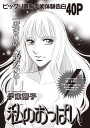 増刊 主婦が墓場まで持っていく話～私のおっぱい～