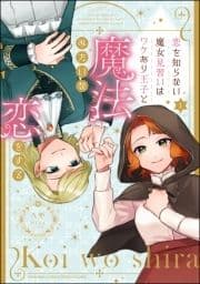 恋を知らない魔女見習いはワケあり王子と魔法みたいな恋をする_thumbnail