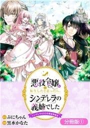 悪役令嬢に転生したと思ったら､シンデレラの義姉でした ～シンデレラオタクの異世界転生～【分冊版】