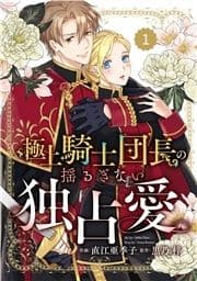 Berry's Fantasy 極上騎士団長の揺るぎない独占愛(分冊版)