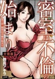 密室は不倫の始まり(分冊版)