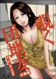 覗く団地妻(分冊版)