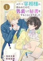 Berry's Fantasy エリート宰相様に拾われたので､男装して秘書をすることになりました(分冊版)_thumbnail