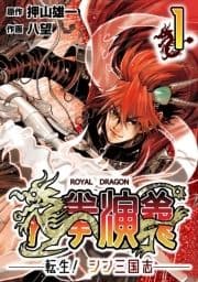 龍拳演義 ～転生!シン三国志～