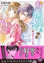 お義兄さまとは呼べません!～御曹司と溺愛同居～