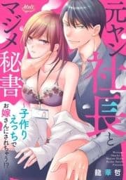 元ヤン社長とマジメ秘書 ～子作りえっちでお嫁さんにされちゃう!?～【単行本】_thumbnail