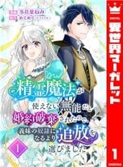 精霊魔法が使えない無能だと婚約破棄されたので､義妹の奴隷になるより追放を選びました