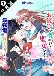 お試しで喚ばれた聖女なのに最強竜に気に入られてしまいました｡(コミック) 分冊版_thumbnail