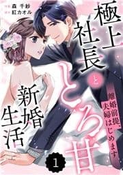 comic Berry's 離婚前提､夫婦はじめます～極上社長ととろ甘新婚生活～(分冊版)_thumbnail