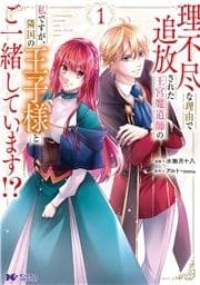 理不尽な理由で追放された王宮魔道師の私ですが､隣国の王子様とご一緒しています!?(コミック)_thumbnail