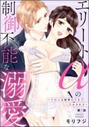 エリートαの制御不能な溺愛 ～氷のαは秘密の奥まで溶かされる～(分冊版)