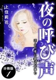 夜の呼び声 歪んだ愛に殺意が滲む 分冊版