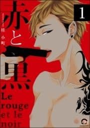 赤と黒(分冊版)