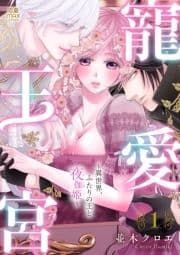 寵愛王宮～異世界､ふたりの王と夜伽姫～【電子単行本】_thumbnail