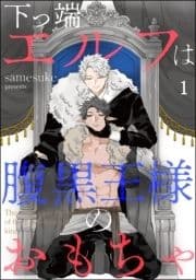 下っ端エルフは腹黒王様のおもちゃ(分冊版)_thumbnail