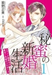 秘蜜の新婚生活～エリート御曹司の絶対内緒のプロポーズ～【分冊版】_thumbnail