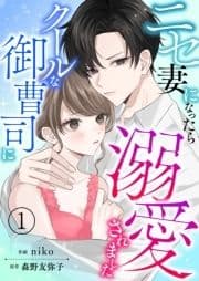 ニセ妻になったらクールな御曹司に溺愛されました【合本版】_thumbnail