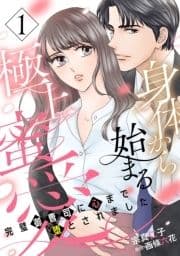 身体から始まる極上蜜愛～完璧御曹司に心まで堕とされました～【分冊版】_thumbnail