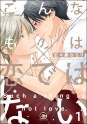 こんなものは恋ではない(分冊版)