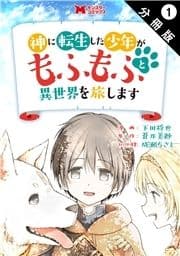 神に転生した少年がもふもふと異世界を旅します(コミック) 分冊版_thumbnail