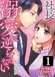 社長の溺愛に逆らえない 再会した幼馴染に愛でられてます