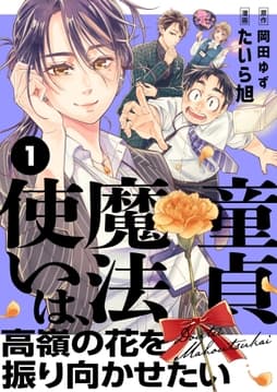 童貞魔法使いは､高嶺の花を振り向かせたい