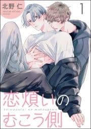 恋煩いのむこう側(分冊版)_thumbnail