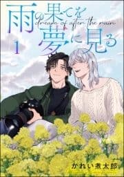 雨の果てを夢に見る(分冊版)_thumbnail