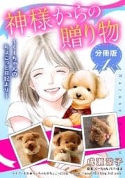 神様からの贈り物～くーちゃんのちょこっと日記より～ 分冊版_thumbnail