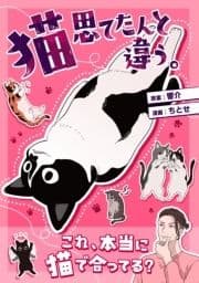 猫思てたんと違う｡