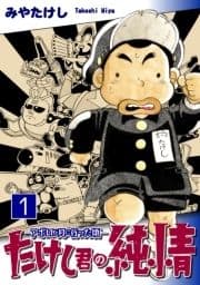 たけし君の純情-アポロが月に行った頃-