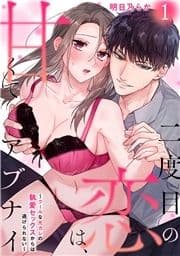 二度目の恋は､甘くてアブナイ～クールな元カレの執愛セックスからは逃げられない～_thumbnail