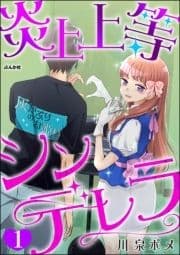 炎上上等シンデレラ(分冊版)