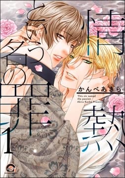 情熱という名の罪(分冊版)_thumbnail