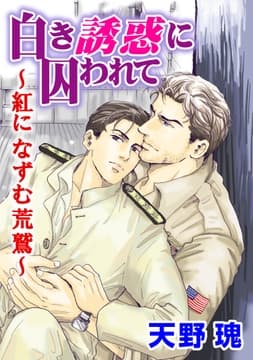 白き誘惑に囚われて～紅になずむ荒鷲～_thumbnail