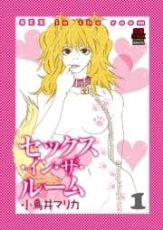 セックス･イン･ザ･ルーム_thumbnail