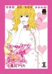 セックス･イン･ザ･ルーム