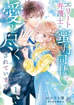 エリート弁護士に蜜月同棲で愛し尽くされています