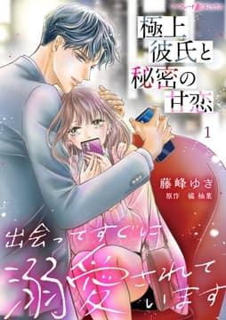 極上彼氏と秘密の甘恋～出会ってすぐに溺愛されています～【分冊版】
