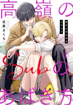高嶺のSubのあばき方～君の心をとかすコマンド～