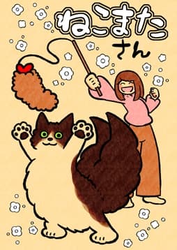 ねこまたさん